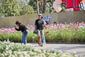 BIB: 
                            <button type="button" onclick="openModal(27792319)" class="btn btn-primary btn-sm float-right btn-popup" data-toggle="modal" data-target=".modal-high-quality">
                        <i class="fas fa-shopping-cart"></i> Add to Cart
                    </button>
                                            <button type="button" onclick="isThisMe(27792319, true)" class="btn btn-success btn-sm float-right btn-popup btn-isme hidden" data-toggle="tooltip" data-placement="bottom" title="นี่คือรูปของคุณใช่ไหม คลิกที่นี่เพื่อเอาเข้าอัลบั้ม">
                        <i class="fas fa-plus"></i> Add to album
                    </button>
                    <button type="button" onclick="isThisMe(27792319, false)" class="btn btn-warning btn-sm float-right btn-popup btn-isnotme hidden">
                        <i class="fas fa-ban"></i> Remove from album
                    </button>